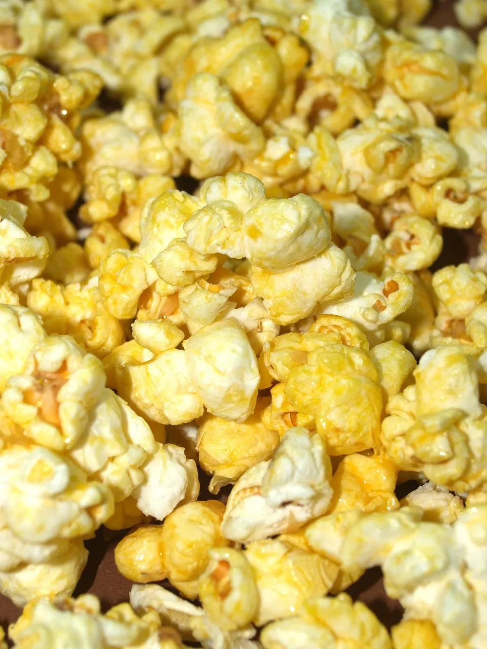 Gudangmovies21